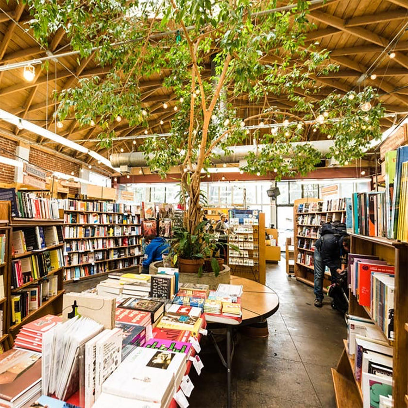 <span>5 Favorite Titles </span>From Skylight Books