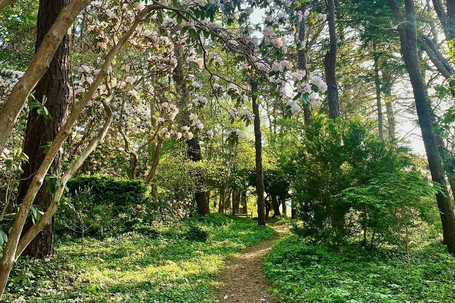 sullivan garden hike on LEO edit.