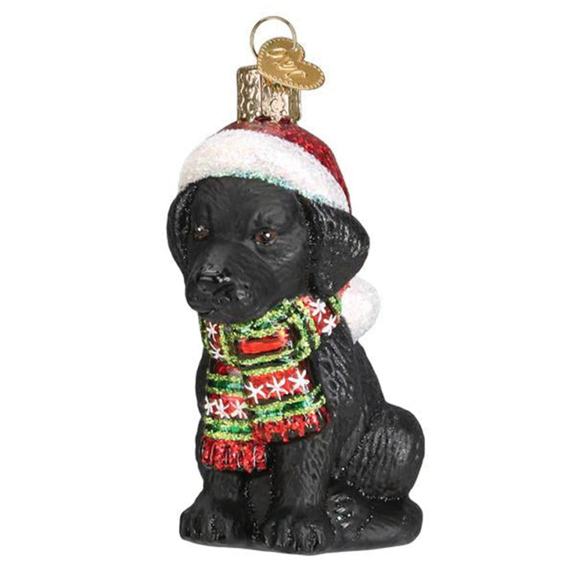 <span>The 2022 Gift Guide</span>  for Pet Lovers